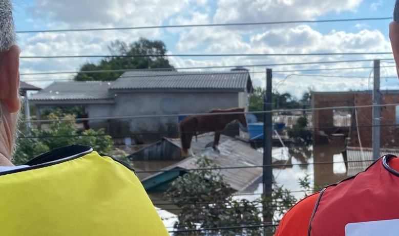 Cavalo ‘Caramelo’ é resgatado após ficar ilhado por quatro dias em telhado de casa em Canoas