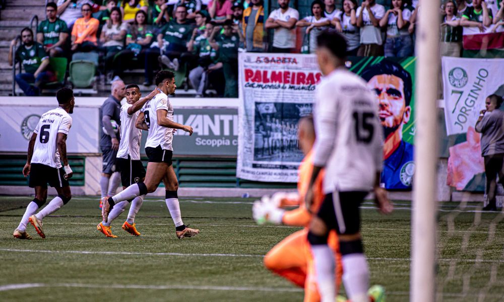 Botafogo vence, se isola ainda mais na liderança e apresenta ao Palmeiras sua segunda derrota no Brasileirão