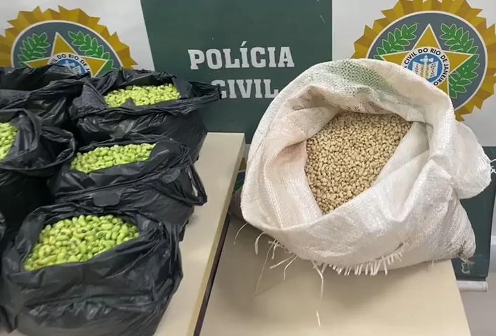 Homem é preso no Rio suspeito de pintar feijão de verde para vender mais caro