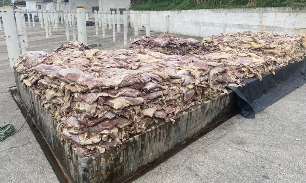 Polícia Civil apreende 4,6 kg de carne estragada de empresa clandestina em Carapicuíba