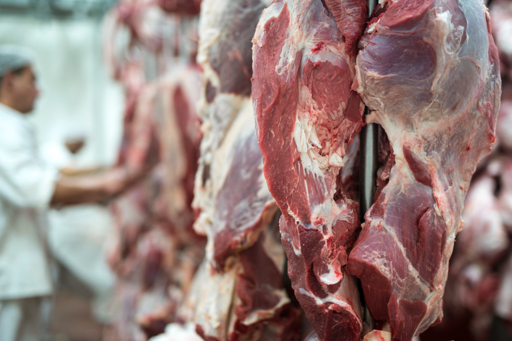 Brasil busca abrir mercado para carne bovina no Japão em visita do primeiro-ministro Fumio Kishida