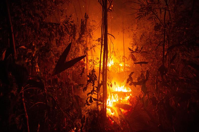 Governo anuncia crédito extraordinário de R$ 514 milhões para combater incêndios 