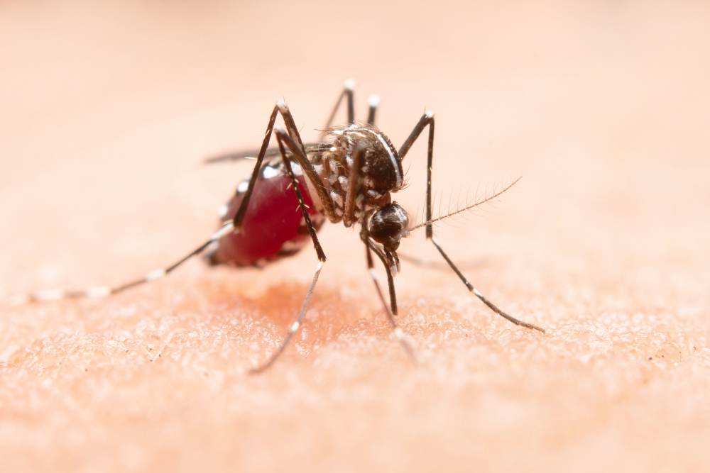 Ministério da Saúde instala centro de operações de emergência no país para monitorar situação da dengue 