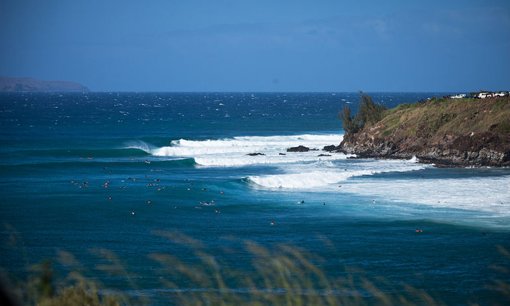 Ataque de tubarão faz WSL adiar as finais do Mundial de Surfe feminino no Havaí