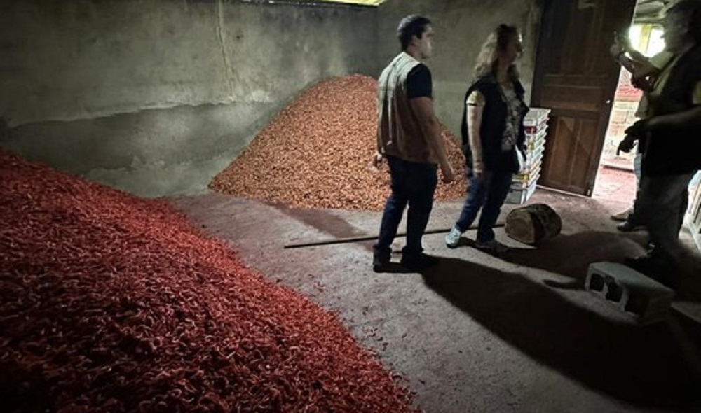 PF apreende 6 toneladas de camarão processado e armazenado em condições insalubres no Rio de Janeiro