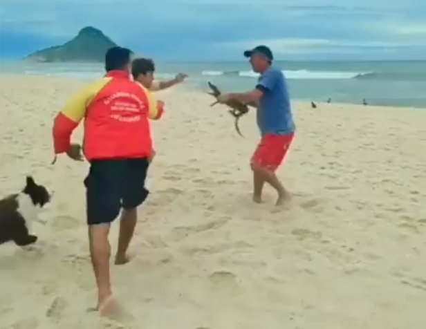 Homem usa jacaré para ameaçar pessoas durante briga em praia do Rio; assista