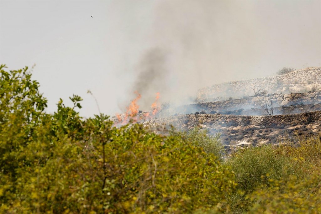 Incêndios florestais na Itália deixam pelo menos cinco mortos após onda de calor