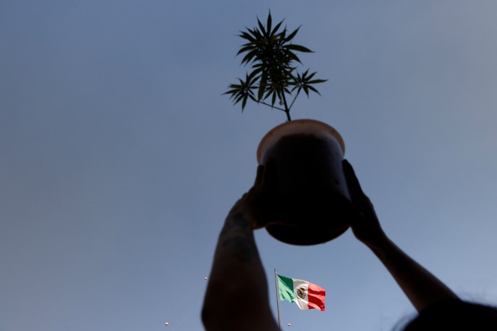 Consumo recreativo de maconha é aprovado pela Câmara dos Deputados do México
